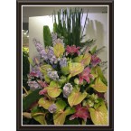 CBF-024
